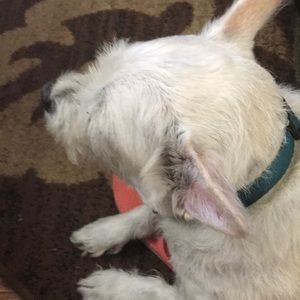 Meet your Posher, Marie